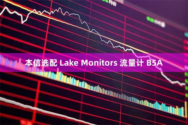本信选配 Lake Monitors 流量计 B5A